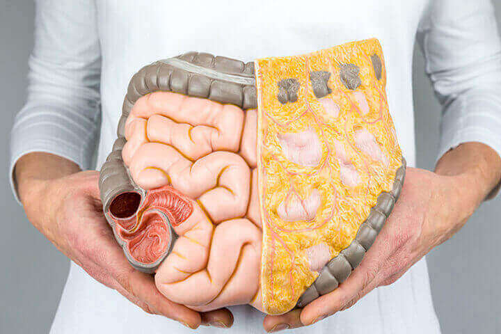 Bağırsak Sağlığı ve Lifli Beslenmenin Önemi: Siyez Ununun Bağırsak Florasına Güçlü Etkisi