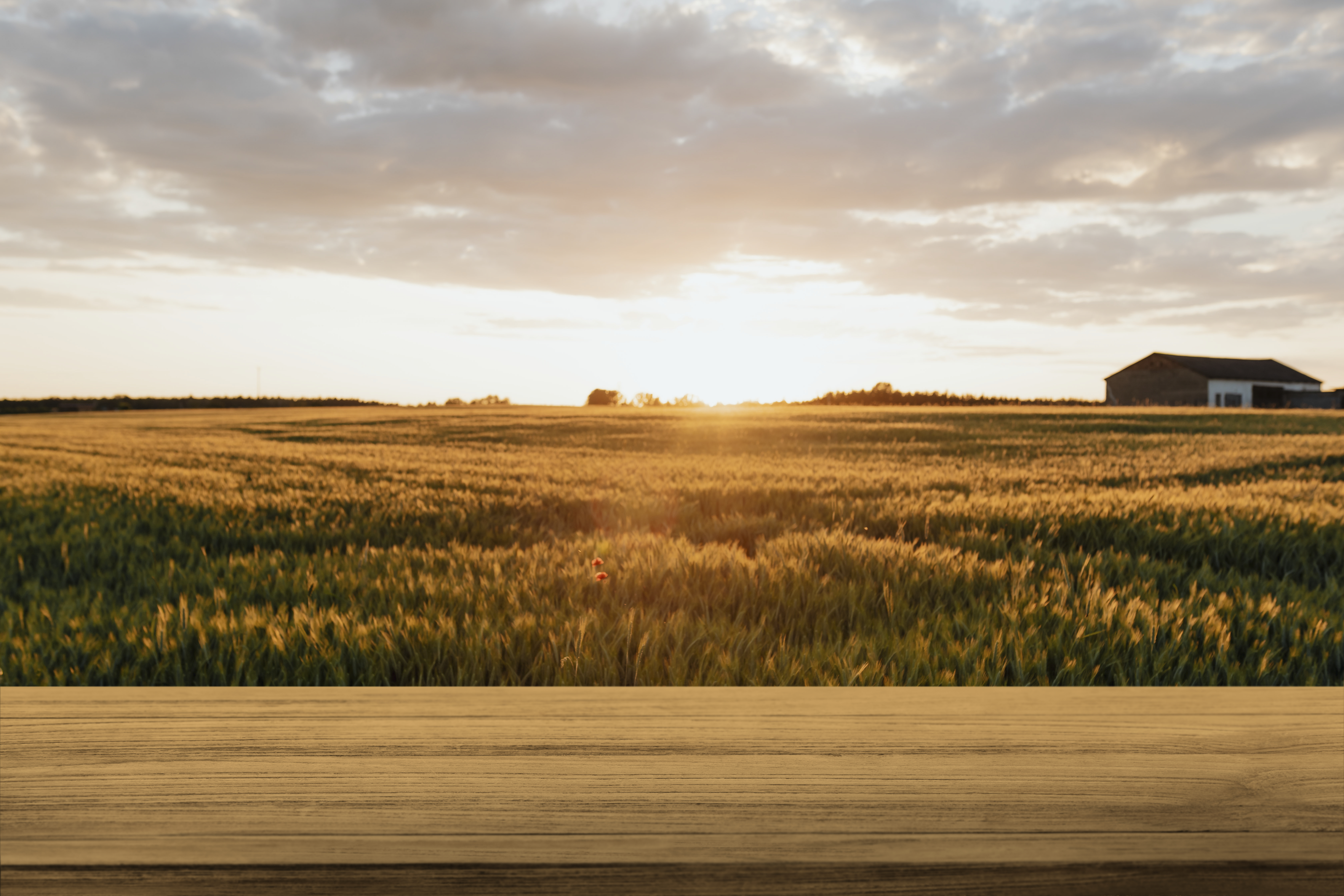 Kastamonu taş değirmen tedariği