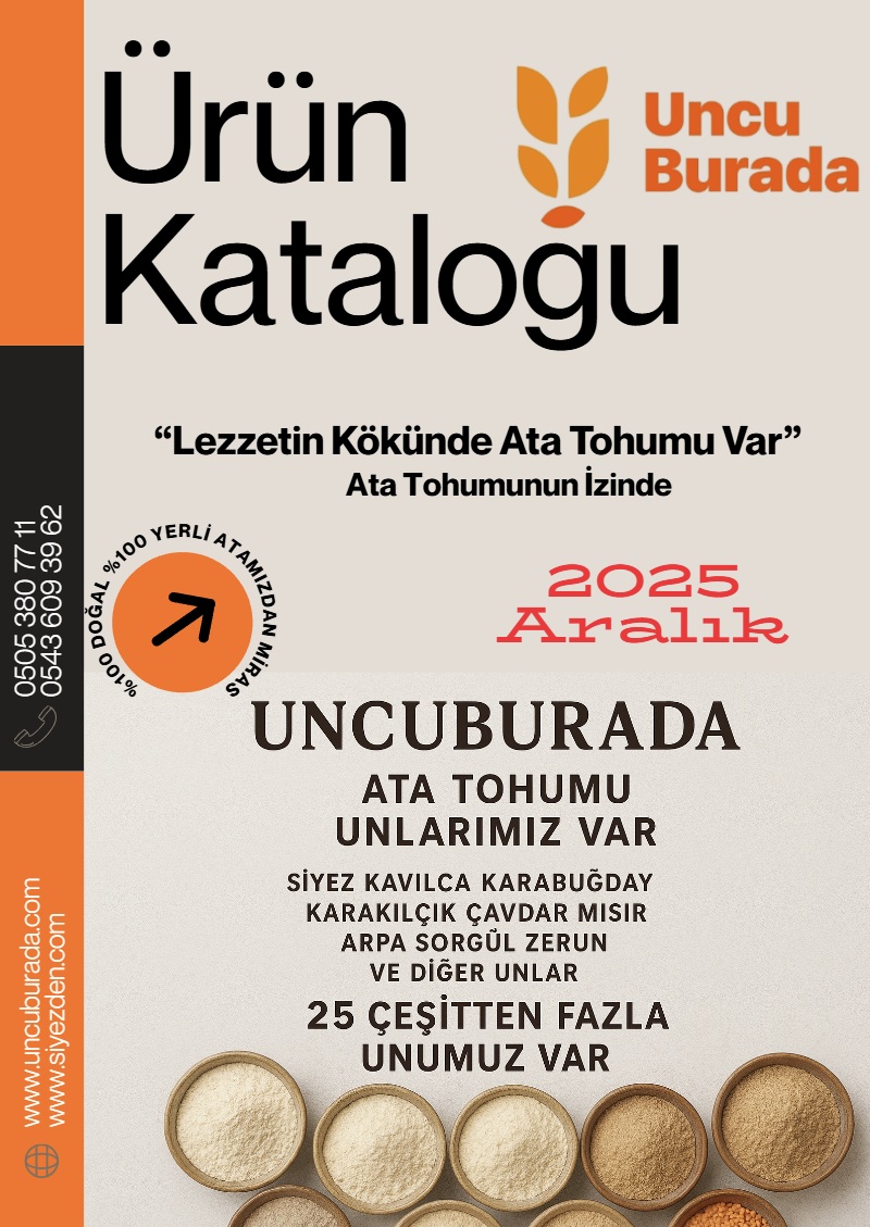Un Katalogları